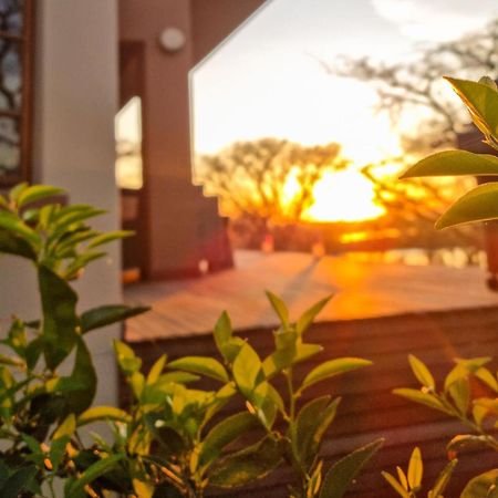 Cwebile Guesthouse Вінтертон Екстер'єр фото