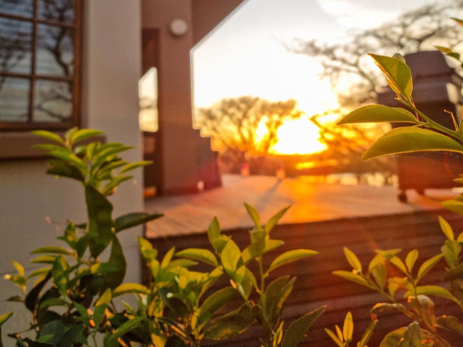 Cwebile Guesthouse Вінтертон Екстер'єр фото